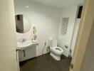 Modern bathroom with sink, toilet, and mirror