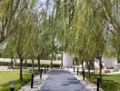 A picturesque walkway lined with willow trees.