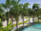 Swimming pool with palm trees