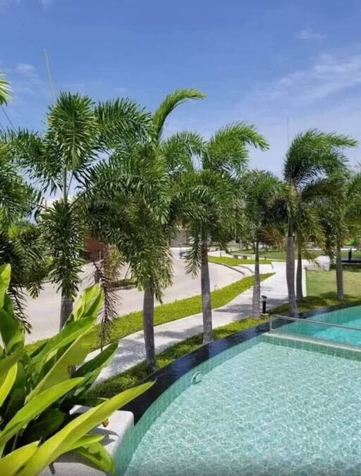 Swimming pool with palm trees