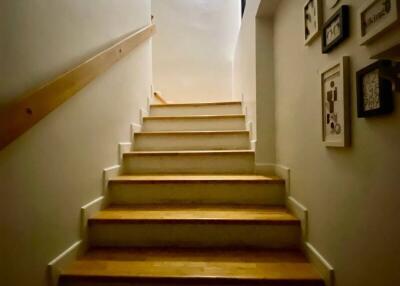 Indoor staircase with wooden steps and wall-mounted handrail