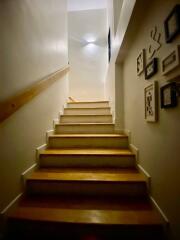 Indoor staircase with wooden steps and wall-mounted handrail