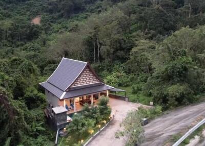 House surrounded by lush greenery and forest