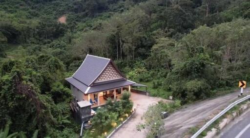 House surrounded by lush greenery and forest