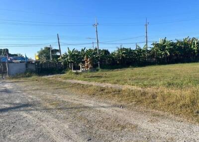 Vacant lot with clear sky and greenery