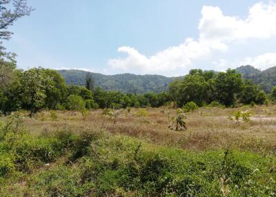 Scenic view of a large grassy field with surrounding hills