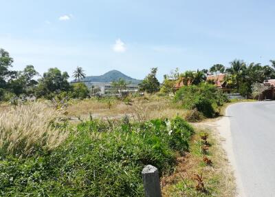 Scenic view of rural landscape with greenery and a distant mountain