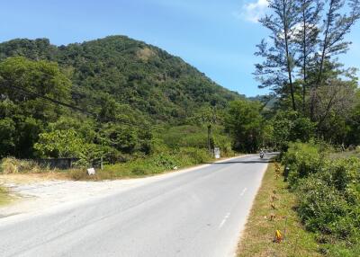 Scenic road with lush greenery and mountains