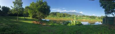 Panoramic view of a lush green landscape with trees and a lake