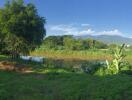 Panoramic view of a lush green landscape with trees and a lake