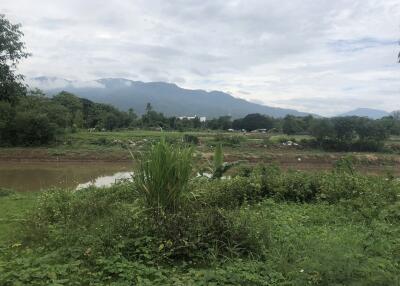 landscape view with mountains and greenery