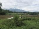 landscape view with mountains and greenery