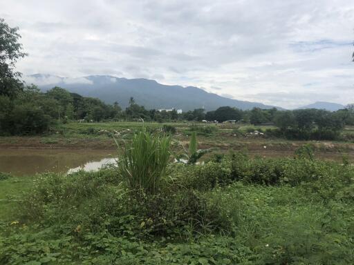 landscape view with mountains and greenery