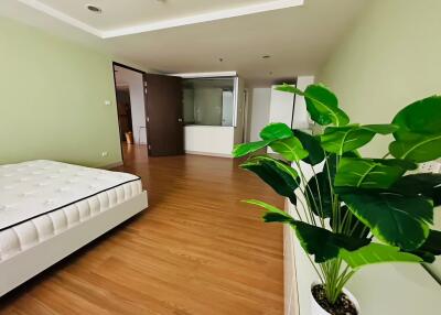 Spacious bedroom with a large bed, hardwood flooring, and a green plant