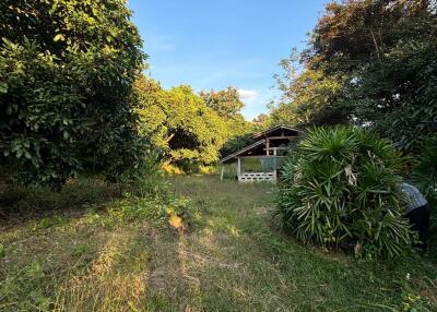 Spacious garden with lush greenery and a small outbuilding