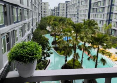 View from the balcony overlooking the pool and surrounding buildings