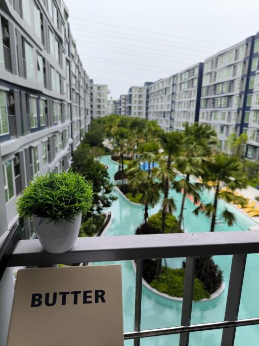 View from the balcony overlooking the pool and surrounding buildings