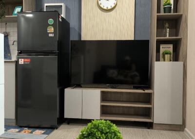 Modern living room with TV, refrigerator, and decorative elements