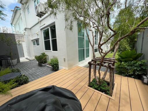 For Sale and Rent Bangkok Single House Anya Bangna - Ramkamhaeng 2 Ramkamhaeng 2 Prawet