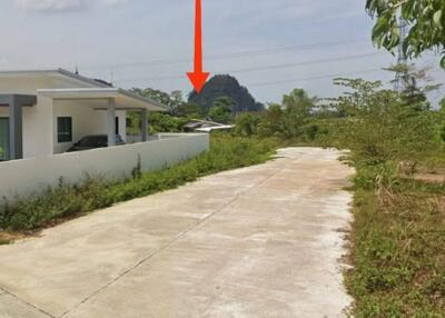 View of the driveway and entrance to the property surrounded by greenery with a mountain in the background