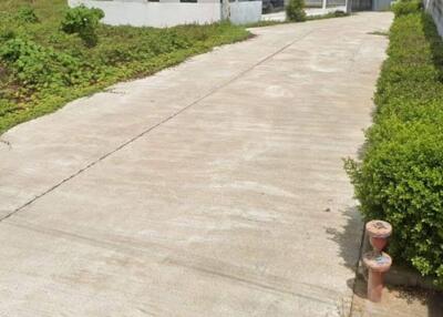 Driveway leading to a small building surrounded by greenery