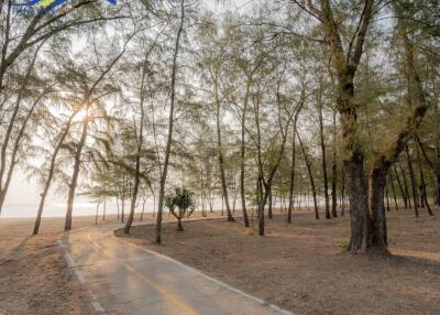 Outdoor scenic pathway through a forested area