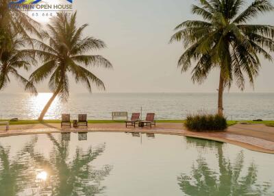 Beachfront swimming pool area with palm trees