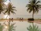 Beachfront swimming pool area with palm trees