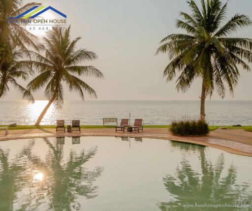 Beachfront swimming pool area with palm trees