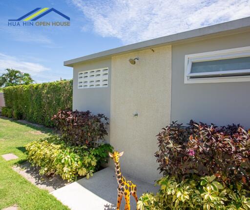 Single-story modern building exterior with shrubs and lawn