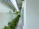 Narrow outdoor walkway beside a modern building with white walls and green plants