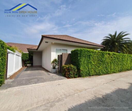 Exterior view of a house with a driveway and greenery