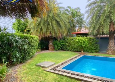 Tropical backyard with swimming pool