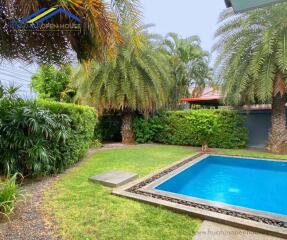 Tropical backyard with swimming pool