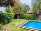 Tropical backyard with swimming pool