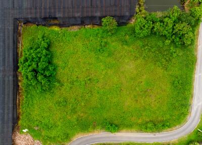 Aerial view of a green land plot with surrounding structures and a road