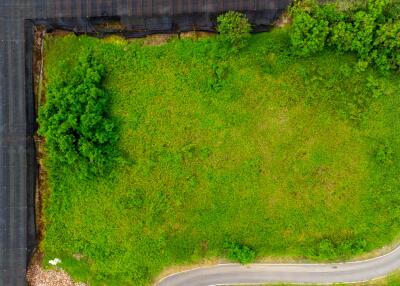 Aerial view of an empty lot with green grass and surrounding trees