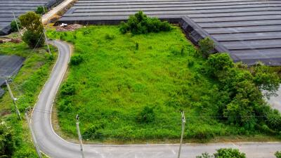 Empty plot of land with surrounding greenery