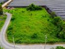 Empty plot of land with surrounding greenery