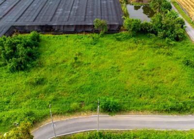 Aerial view of a green land plot with surrounding road