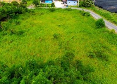 Open green field with surrounding road