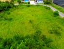 Open green field with surrounding road