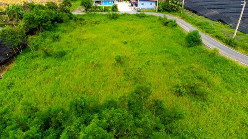 Open green field with surrounding road