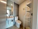 Modern bathroom with toilet and sink