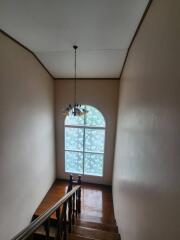 Wooden staircase with window