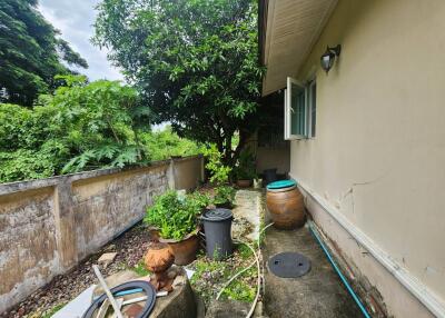 Outdoor garden space with various plants and containers