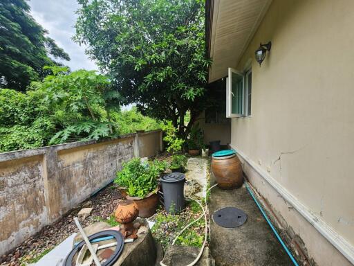 Outdoor garden space with various plants and containers