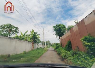 Narrow road with greenery