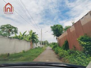 Narrow road with greenery