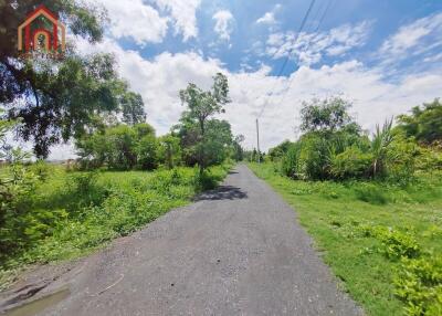 Scenic driveway leading to the property with lush surroundings